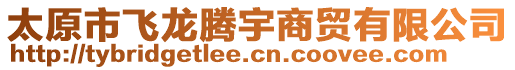 太原市飛龍騰宇商貿(mào)有限公司