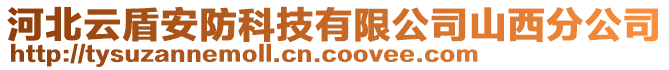 河北云盾安防科技有限公司山西分公司