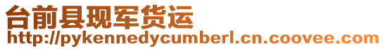 臺(tái)前縣現(xiàn)軍貨運(yùn)