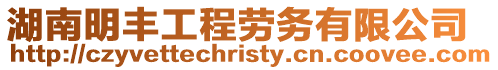湖南明豐工程勞務(wù)有限公司