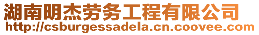 湖南明杰勞務工程有限公司