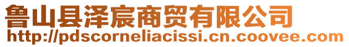 魯山縣澤宸商貿(mào)有限公司