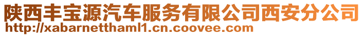陜西豐寶源汽車服務有限公司西安分公司