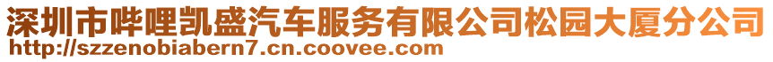 深圳市嗶哩凱盛汽車服務有限公司松園大廈分公司