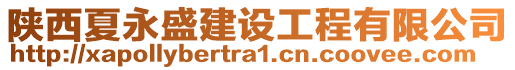 陜西夏永盛建設(shè)工程有限公司