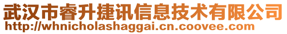 武漢市睿升捷訊信息技術(shù)有限公司