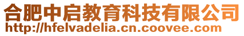 合肥中啟教育科技有限公司