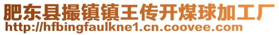 肥東縣撮鎮(zhèn)鎮(zhèn)王傳開煤球加工廠