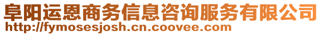 阜陽(yáng)運(yùn)恩商務(wù)信息咨詢服務(wù)有限公司