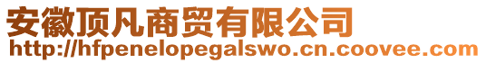 安徽頂凡商貿(mào)有限公司