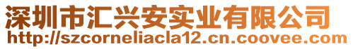 深圳市匯興安實業(yè)有限公司