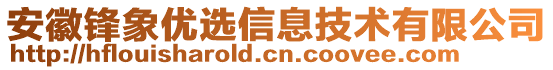 安徽鋒象優(yōu)選信息技術(shù)有限公司