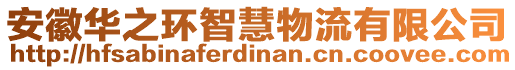 安徽華之環(huán)智慧物流有限公司