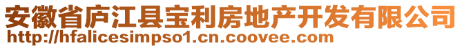 安徽省廬江縣寶利房地產(chǎn)開發(fā)有限公司