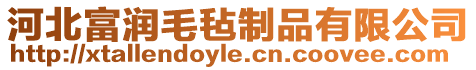 河北富潤毛氈制品有限公司