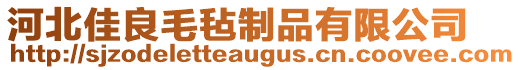 河北佳良毛氈制品有限公司