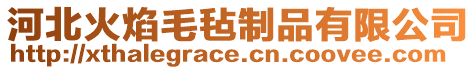 河北火焰毛氈制品有限公司