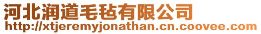 河北潤道毛氈有限公司
