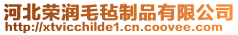 河北榮潤(rùn)毛氈制品有限公司