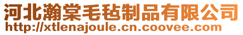 河北瀚棠毛氈制品有限公司