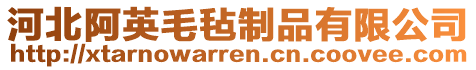 河北阿英毛氈制品有限公司