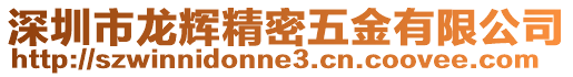 深圳市龍輝精密五金有限公司