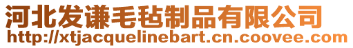 河北發謙毛氈制品有限公司