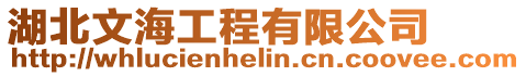湖北文海工程有限公司
