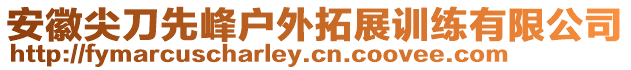 安徽尖刀先峰戶外拓展訓(xùn)練有限公司