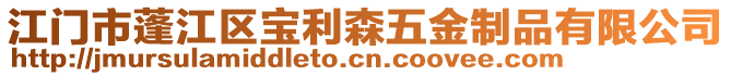 江門市蓬江區(qū)寶利森五金制品有限公司