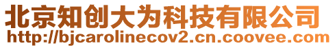 北京知?jiǎng)?chuàng)大為科技有限公司