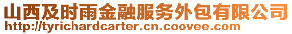山西及時雨金融服務外包有限公司