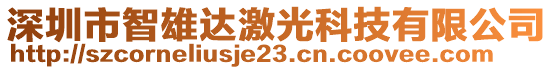 深圳市智雄達激光科技有限公司