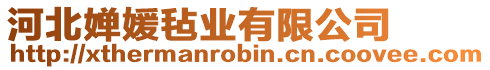 河北嬋媛氈業(yè)有限公司