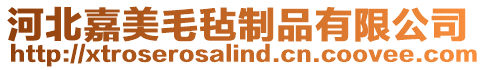 河北嘉美毛氈制品有限公司