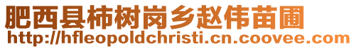 肥西縣柿樹崗鄉趙偉苗圃