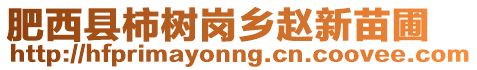 肥西縣柿樹(shù)崗鄉(xiāng)趙新苗圃