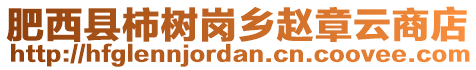 肥西縣柿樹崗鄉(xiāng)趙章云商店