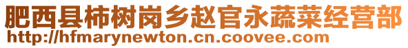 肥西縣柿樹崗鄉(xiāng)趙官永蔬菜經(jīng)營部