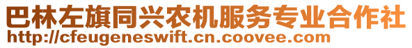 巴林左旗同興農(nóng)機(jī)服務(wù)專業(yè)合作社