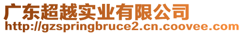 廣東超越實(shí)業(yè)有限公司