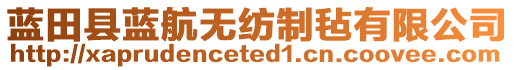 藍(lán)田縣藍(lán)航無紡制氈有限公司