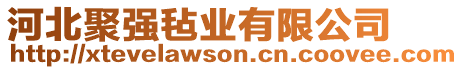 河北聚強(qiáng)氈業(yè)有限公司