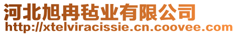 河北旭冉氈業有限公司