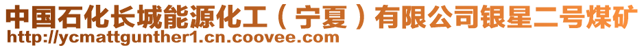 中國石化長城能源化工(寧夏)有限公司銀星二號煤礦