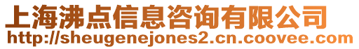 上海沸點信息咨詢有限公司