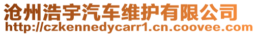 滄州浩宇汽車維護(hù)有限公司