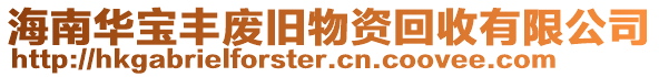 海南華寶豐廢舊物資回收有限公司