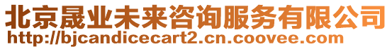 北京晟業未來咨詢服務有限公司