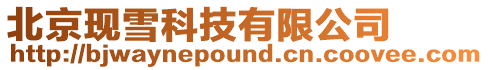 北京現(xiàn)雪科技有限公司